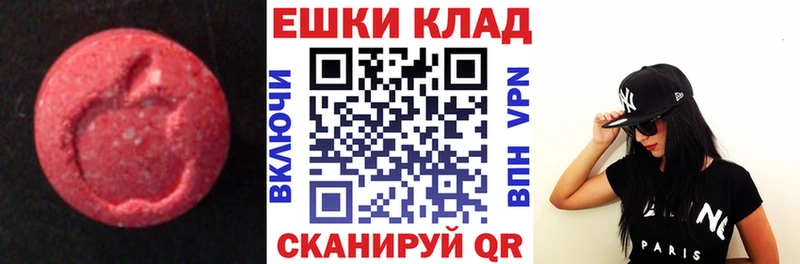 ЭКСТАЗИ Philipp Plein закладка Энем