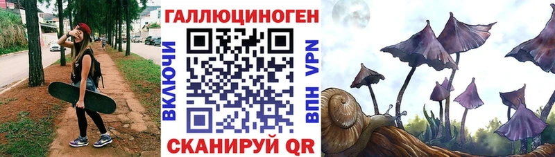 Псилоцибиновые грибы Psilocybine cubensis  hydra ссылки  Энем 